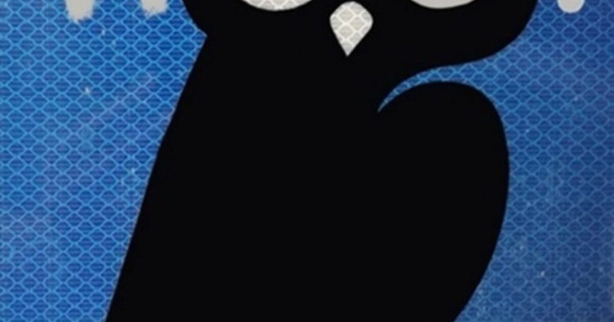 A Symphony of Sight and Sound: Birds on Film in Foix