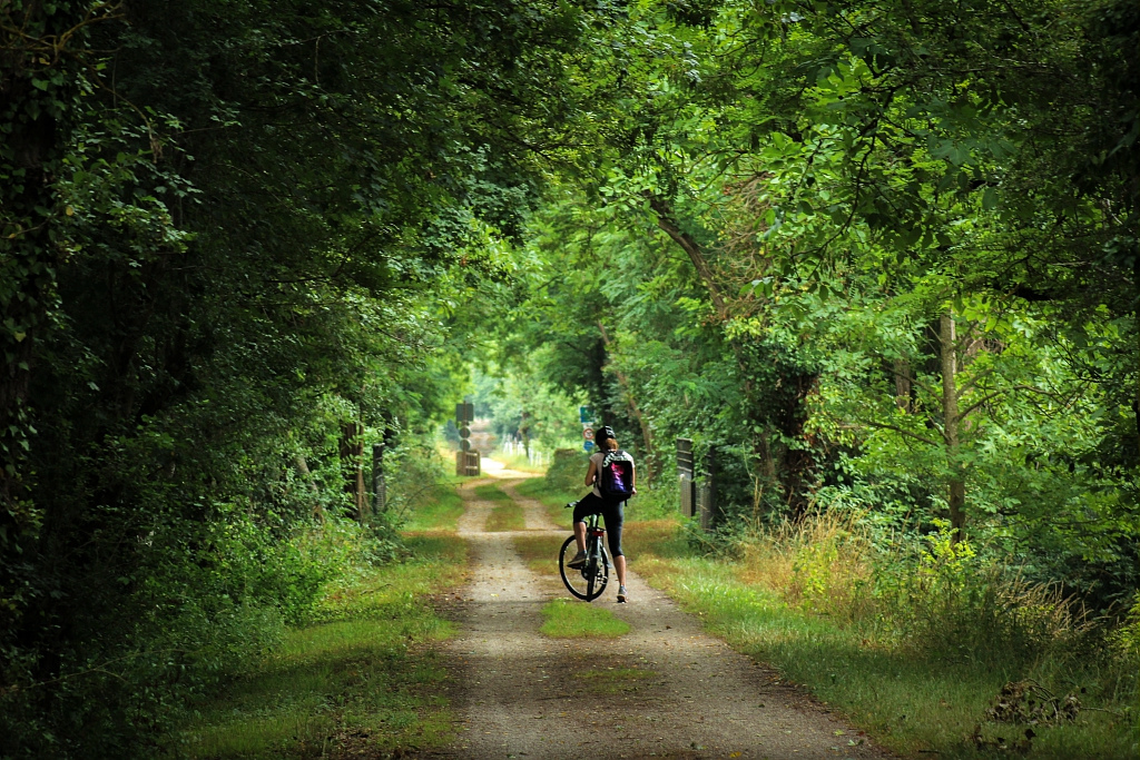 Discover the Greenways of Ariège: Cycling Adventures for Everyone