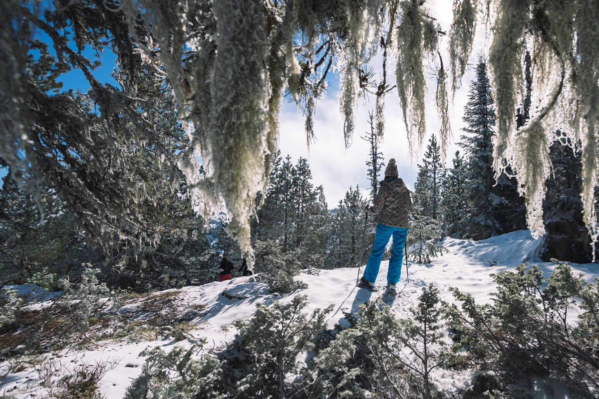 Discover the Magic of Snowshoeing in the Ariège Pyrenees