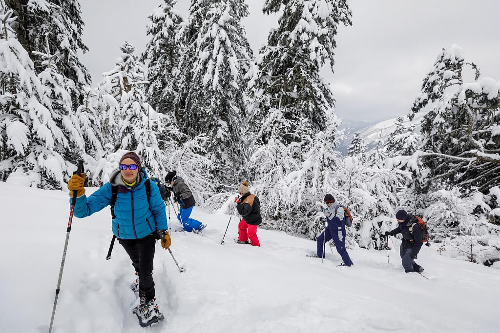 Discover the Winter Wonderland: Guided Snowshoeing Adventures in the Ariège Pyrénées
