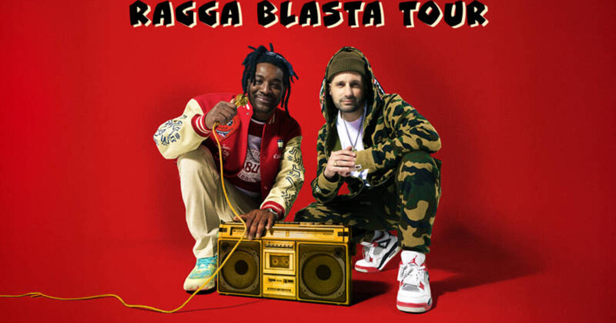 Electrifying Reggae Dancehall Night in Ramonville-Saint-Agne