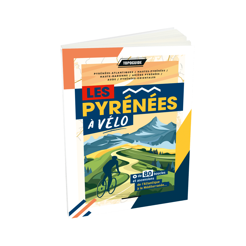 Explore the Pyrenees by Bike: The Vélosud Route