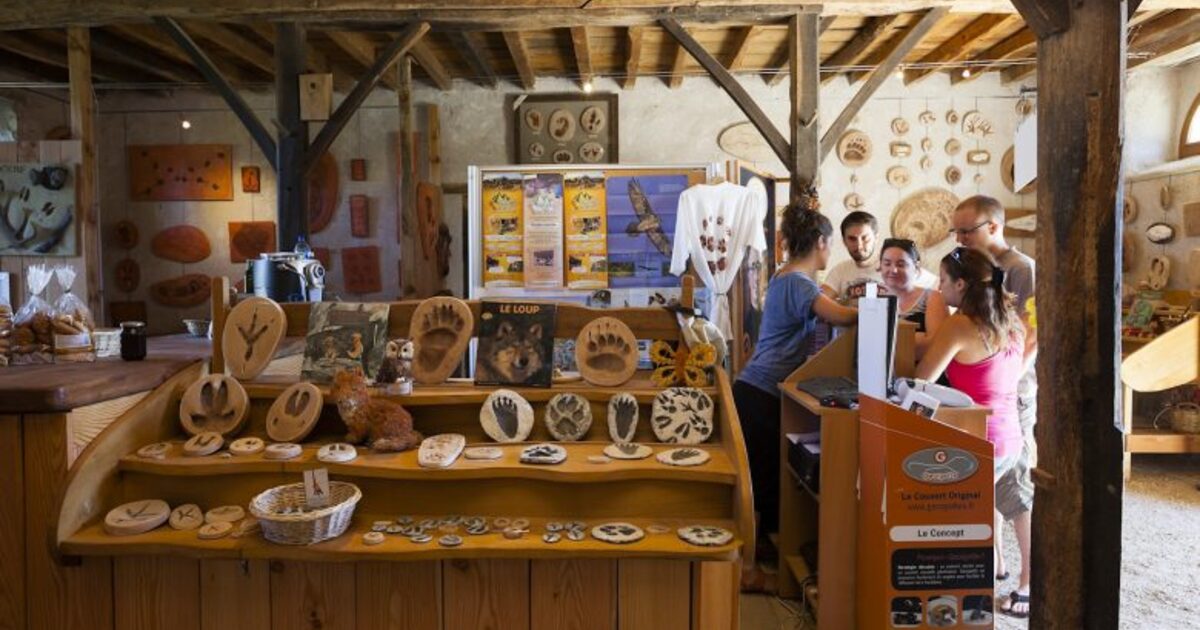 Explore the Wonders of Ichnology at the Land of Traces