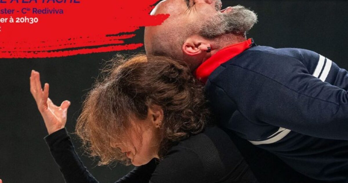 Flamenco Dreams: A Dance with Don Quixote in Foix