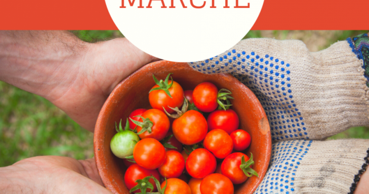 Friday Flavors: Discover Daumazan's Delightful Local Market