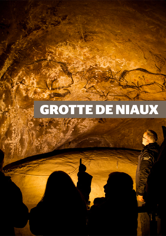 Journey Back in Time: Explore the Prehistoric Art of Niaux Cave