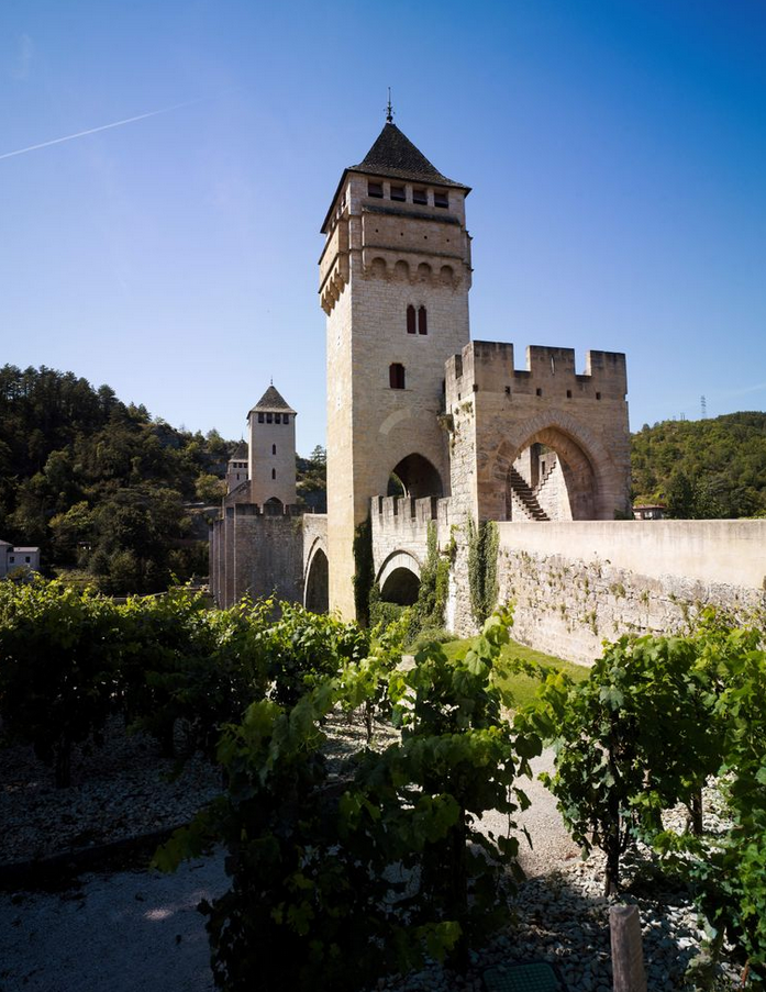 Keep Our Trails Pristine: Report Issues with Suricate!