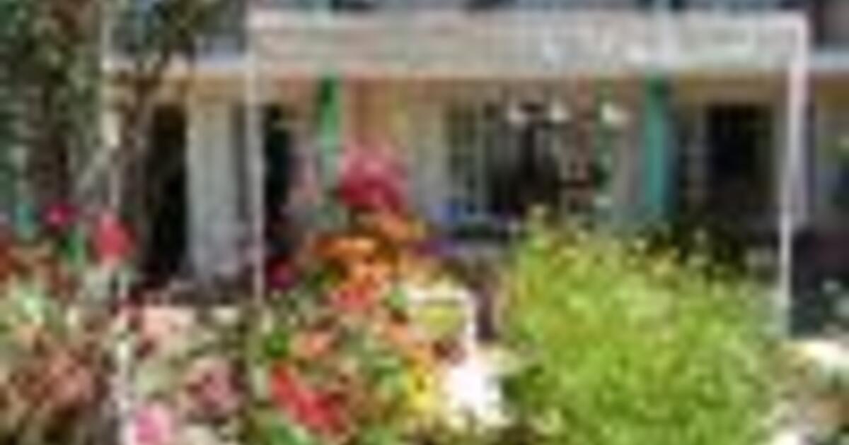 Savor the Flavors of Massat: A Year-Round Market Experience