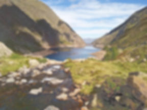 Uncover the Sweet Secrets of the Pyrenees: A Bee-utiful Experience!