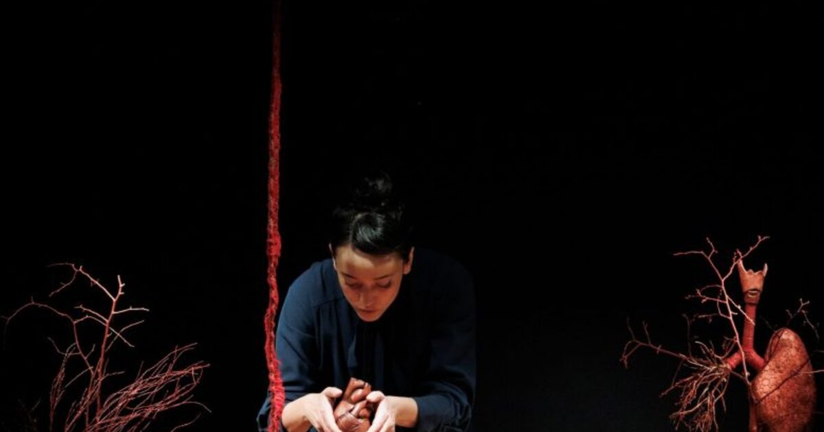 Unveiling the Mysteries of the Human Body: A Theatrical Journey in Mirepoix